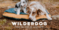 Wilderdog Logo