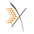 Xssentials Logo