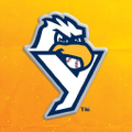 York Revolution Logo