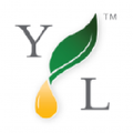 Young Living Essential Oils Logo